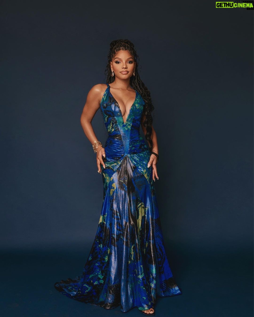Halle Bailey Instagram - thank you pcas for a beautiful night !! 🧜🏽♀️🌊🐠