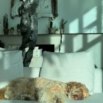 Halle Berry Instagram – Sunday-ing 

He planned a lot but is doing nothing 🥱