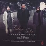 Hamed Behdad Instagram - 🎼 تنهای تنها با صدای شهاب مظفری منتشر شد تیتراژ پایانی سریال دل آهنگ : بابک زرین ترانه : مهرزادامیرخانی تنظیم : بهتاش زرین . حامدحسینی میکس و مسترینگ : محمدفلاحی گیتار : هیراد نیکنام سریال دل به کارگردانی منوچهرهادی و تهیه‌کنندگی جواد فرحانی هر چهارشنبه از فیلیمو و نماوا عرضه میشود. #بابک_زرین #شهاب_مظفری #مهرزادامیرخانی #سریال_دل #حامدبهداد #حامد_بهداد #hamedbehdad