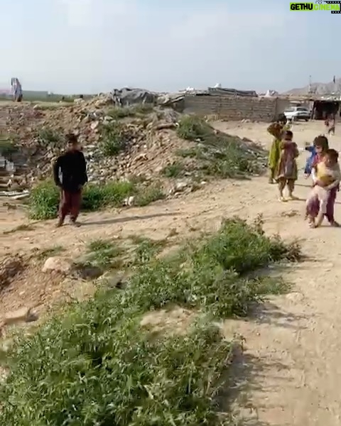 Hamed Behdad Instagram - متاسفانه مطلع شديم اين دو كودك پاكستانى بنگلادشى زير آوار بخاطر بارش شديد بارون در همين چند روز پيش جون خودشون و از دست دادن. و با برادرم باتفاق دوستان خيّر ديگه براى افراد بى سر پناه اون منطقه كه همه مهاجرهاى پاكستانى و بنگالى هستن ارزاق و آذوقه و عروسك و وسايل بهداشتى رسونديم. بطرز مضحكى هيچ امكان و رفاه و حقوق اوليه زندگى براشون موجود نيست.راستش نبودن نان و سقف و آسايش و توالت و حمام و تلويزيون و مدرسه تفريح و بهداشت و اين چيزاى ساده براى سرگرم بودن ساكنان اين سرزمين بيشتر برام شبيه شوخيه.در اين ايام كه فعلا كار و بار مردم خوابيده هر كدوم از ما هموطنان داريم به نحوى مشكل هامون و با هم تقسيم ميكنيم گر چه اين وظيفه دولت هست و احتمال ميدم درستش هم همين باشه. بابت مرگ غم انگيز اين دو تا كودك و وضعيت اسفبار مردم اون محله با يكى از دوستان همكار در تلويزيون تماس گرفتم و داستان و گفتم و بهم قول داد هفته بعدى براى هر خانوار بستهء ارزاق به اندازهء يكماهشون اهداء كنه. شايد بشه كمى خوشحال بشن .در انتظار روزهاى خوبتر.