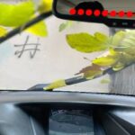 Hamed Behdad Instagram – # ……..
هر چه ميخواهد دل تنگت بگو