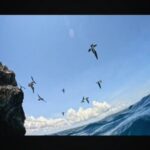 Hamish Daud Instagram – @Montblanc #1858IcedSea