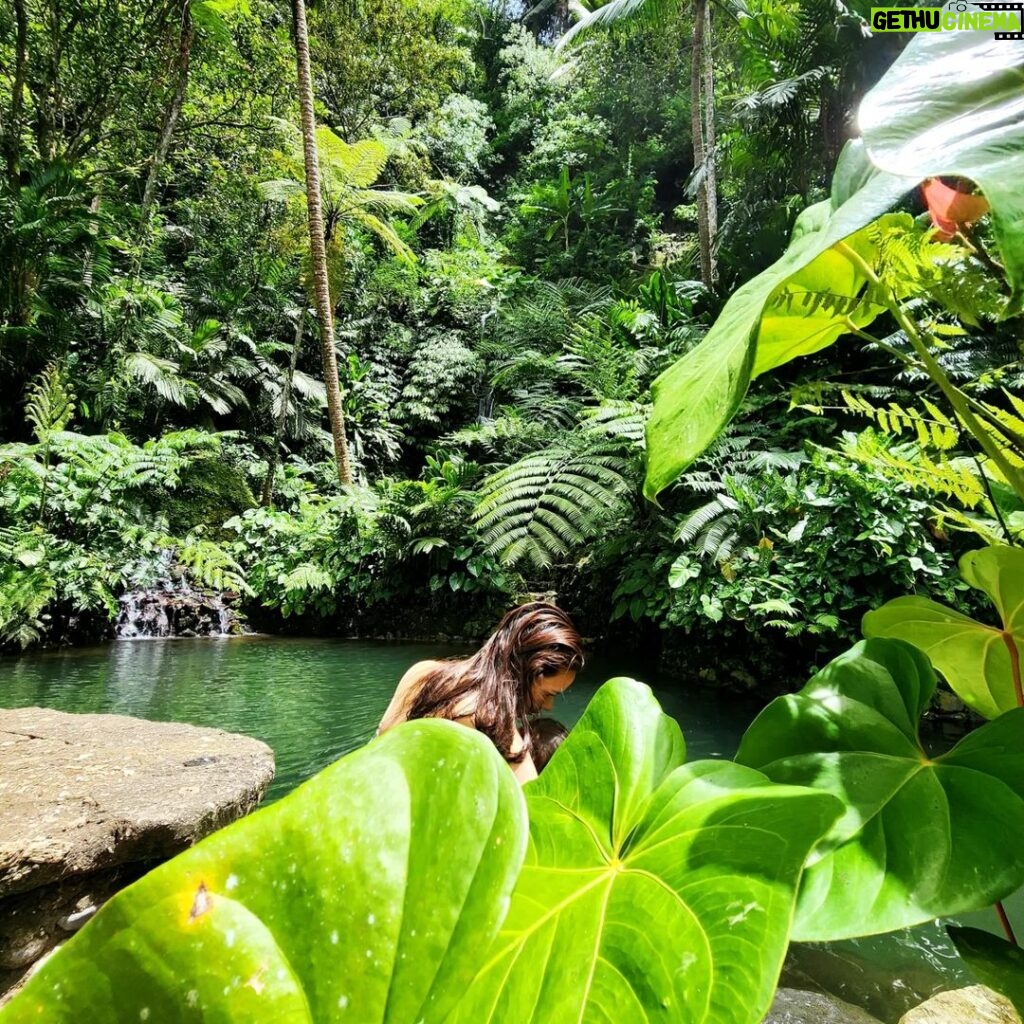 Hamish Daud Instagram - The simple things done right on one of my favorite natural properties in Bali @comoshambhalaestate Reset start to the year. Customized diets, personal health teatments & amazing staff. Well rested & feeling good. Lezzgo! COMO Shambhala Estate, Bali
