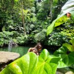 Hamish Daud Instagram – The simple things done right on one of my favorite natural properties in Bali @comoshambhalaestate

Reset start to the year. Customized diets, personal health teatments & amazing staff. Well rested & feeling good. Lezzgo! COMO Shambhala Estate, Bali