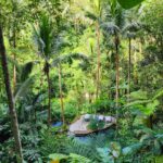 Hamish Daud Instagram – The simple things done right on one of my favorite natural properties in Bali @comoshambhalaestate

Reset start to the year. Customized diets, personal health teatments & amazing staff. Well rested & feeling good. Lezzgo! COMO Shambhala Estate, Bali