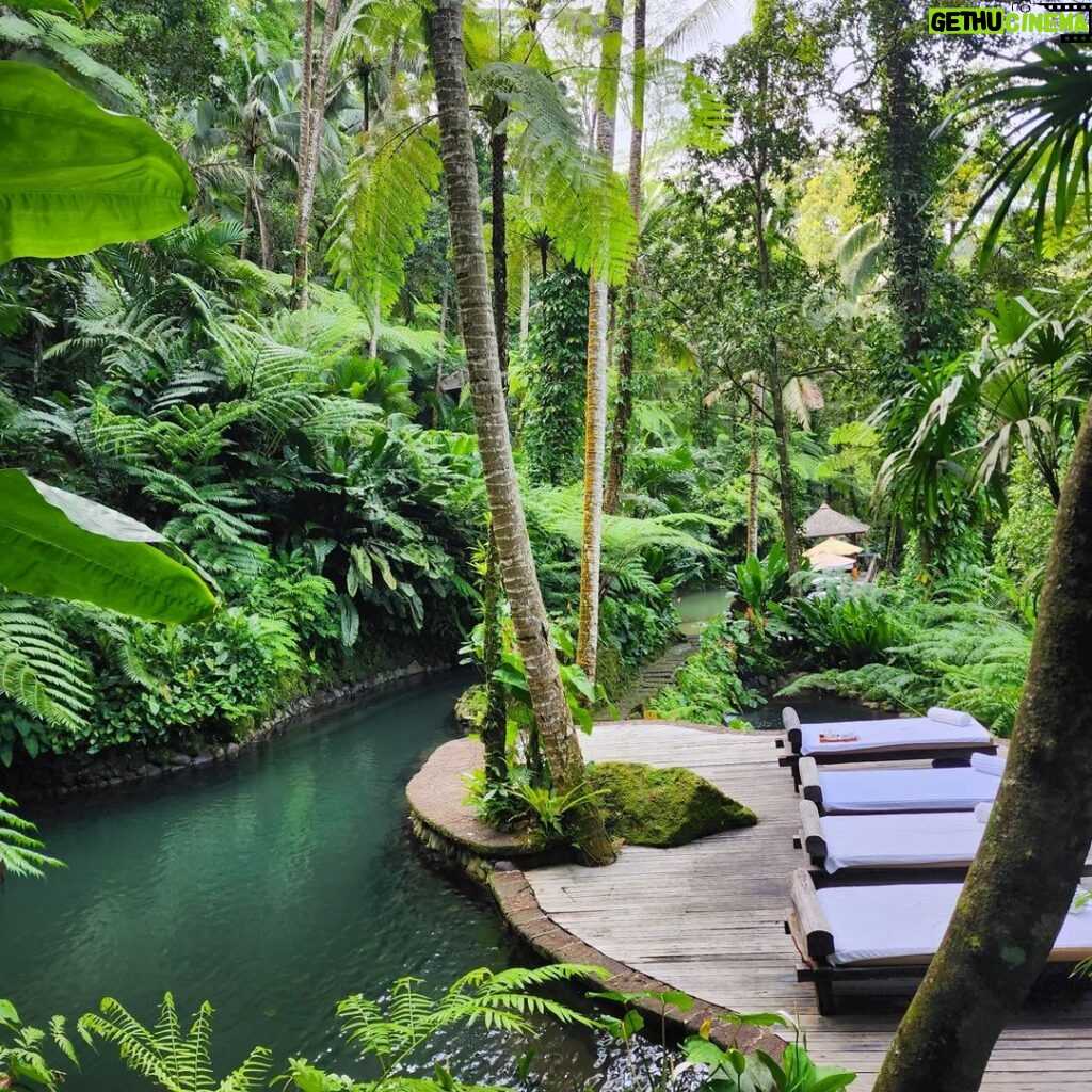 Hamish Daud Instagram - The simple things done right on one of my favorite natural properties in Bali @comoshambhalaestate Reset start to the year. Customized diets, personal health teatments & amazing staff. Well rested & feeling good. Lezzgo! COMO Shambhala Estate, Bali