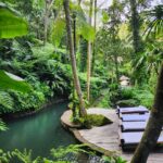 Hamish Daud Instagram – The simple things done right on one of my favorite natural properties in Bali @comoshambhalaestate

Reset start to the year. Customized diets, personal health teatments & amazing staff. Well rested & feeling good. Lezzgo! COMO Shambhala Estate, Bali