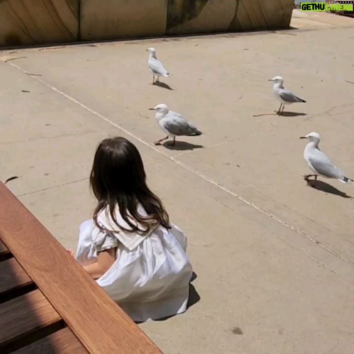 Hamish Daud Instagram - The girls had a blast! Zalina made some new friends too 🦘 Australia