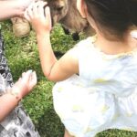 Hamish Daud Instagram – The girls had a blast! Zalina made some new friends too 🦘 Australia