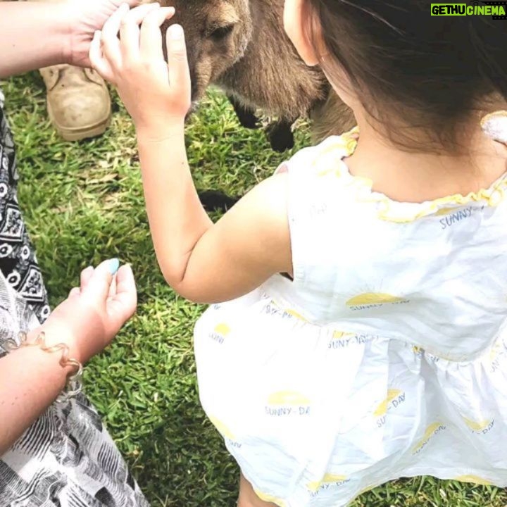 Hamish Daud - 75.2K Likes - The girls had a blast! Zalina made some new friends too 🦘