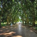 Hamish Daud Instagram – Spring 🪴 Sydney botanical gardens