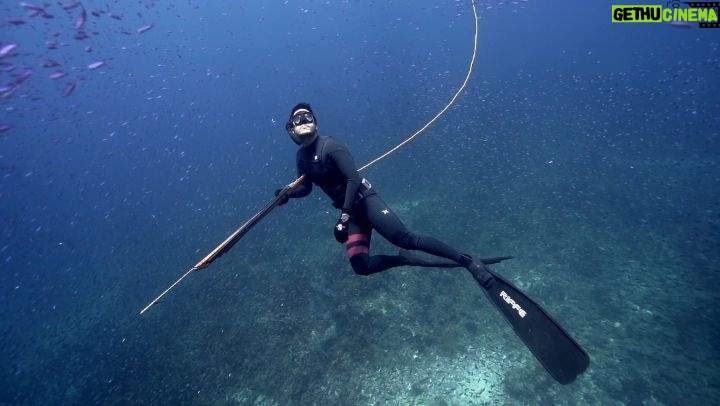 Hamish Daud Instagram - Incredible visibility. One of the nicest swims I've had in a while. Thank you Amir Pangeran for bringing a camera. @indonesianoceanpride #indonesianoceanpride North Maluku