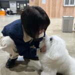 Han Ji-min Instagram - . 봉예분을 만나 새로운 것들을 도전해 볼 수 있어 감사하고 행복했어요. 정 많고 마음 따뜻한 예분이가 참 좋았고, 그런 예분일 사랑해주셔서 감사했습니다.🤎 잊지 못할거야. Good bye 👋🏻 변태, 봉봉, 예분 🍑