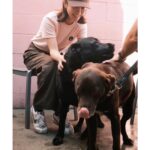 Han Ji-min Instagram - . ☕️🤎🐕