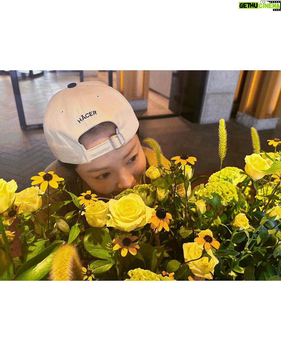 Han Ji-min Instagram - . πΌππ°πΆπ±π
