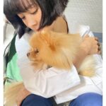 Han Ji-min Instagram - . #힙하게 🐶 우리 드라마를 사랑스럽게 채워준 동물들. (특히 몽쉘이🤍 @mongshell_bichon ) 2009년때 처음 만나 늘 어렵고 위험한 컷들은 대신 다 완성해주는 고마운 지선언니. @rebirth1107 🫶🏻 보이지 않는 곳에서까지 너무 힘쓰고 여러모로 고생해주신 감사한 무술팀. 🙏🏻 #Behindyourtouch