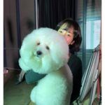 Han Ji-min Instagram - . #힙하게 🐶 우리 드라마를 사랑스럽게 채워준 동물들. (특히 몽쉘이🤍 @mongshell_bichon ) 2009년때 처음 만나 늘 어렵고 위험한 컷들은 대신 다 완성해주는 고마운 지선언니. @rebirth1107 🫶🏻 보이지 않는 곳에서까지 너무 힘쓰고 여러모로 고생해주신 감사한 무술팀. 🙏🏻 #Behindyourtouch
