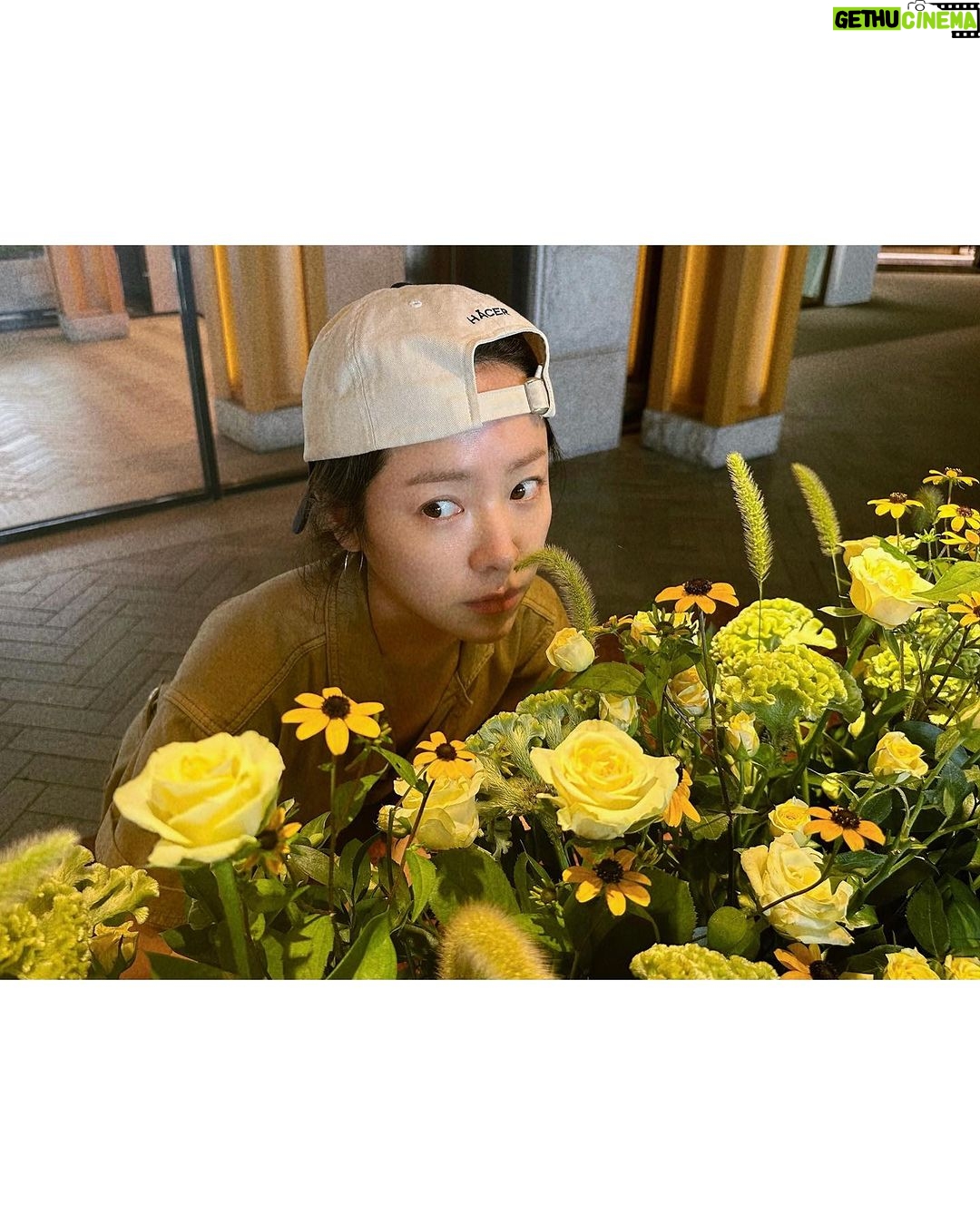 Han Ji-min Instagram - . πΌππ°πΆπ±π