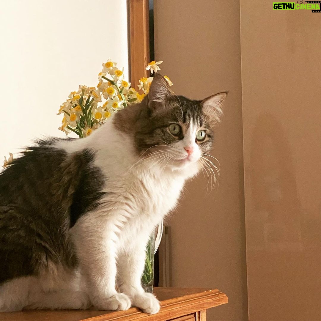 Hanie Tavassoli Instagram - به قول شاعر خوشگل زیاد پیدا می شه تو دنیا! اما اما یکیش خوشگل من نمی شه😅❤️🥰😏