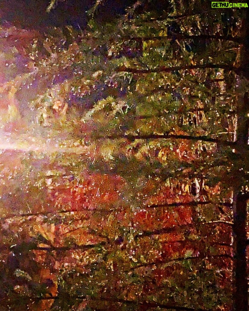 Hanie Tavassoli Instagram - درخت شب نور باران