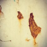 Hanie Tavassoli Instagram - ای کاش اهمیت در نگاه تو باشد نه در آن چیزی که به آن می نگری.