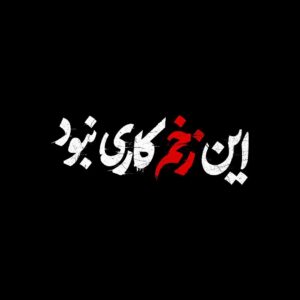 Hanie Tavassoli Instagram - #این_زخم_کاری_نبود  #زخم_کاری