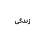 Hanie Tavassoli Instagram - هشت مارس.روز زنان.همه چیز در همین سه کلمه خلاصه شده. شجاعت زنان ایرانی جهان را به حیرت واداشت.روزتان مبارک زنان شجاع ایران و جهان. #زن_زندگی_آزادی #زن_زندگی_آزادی #زن_زندگی_آزادی #8march #internationalwomensday
