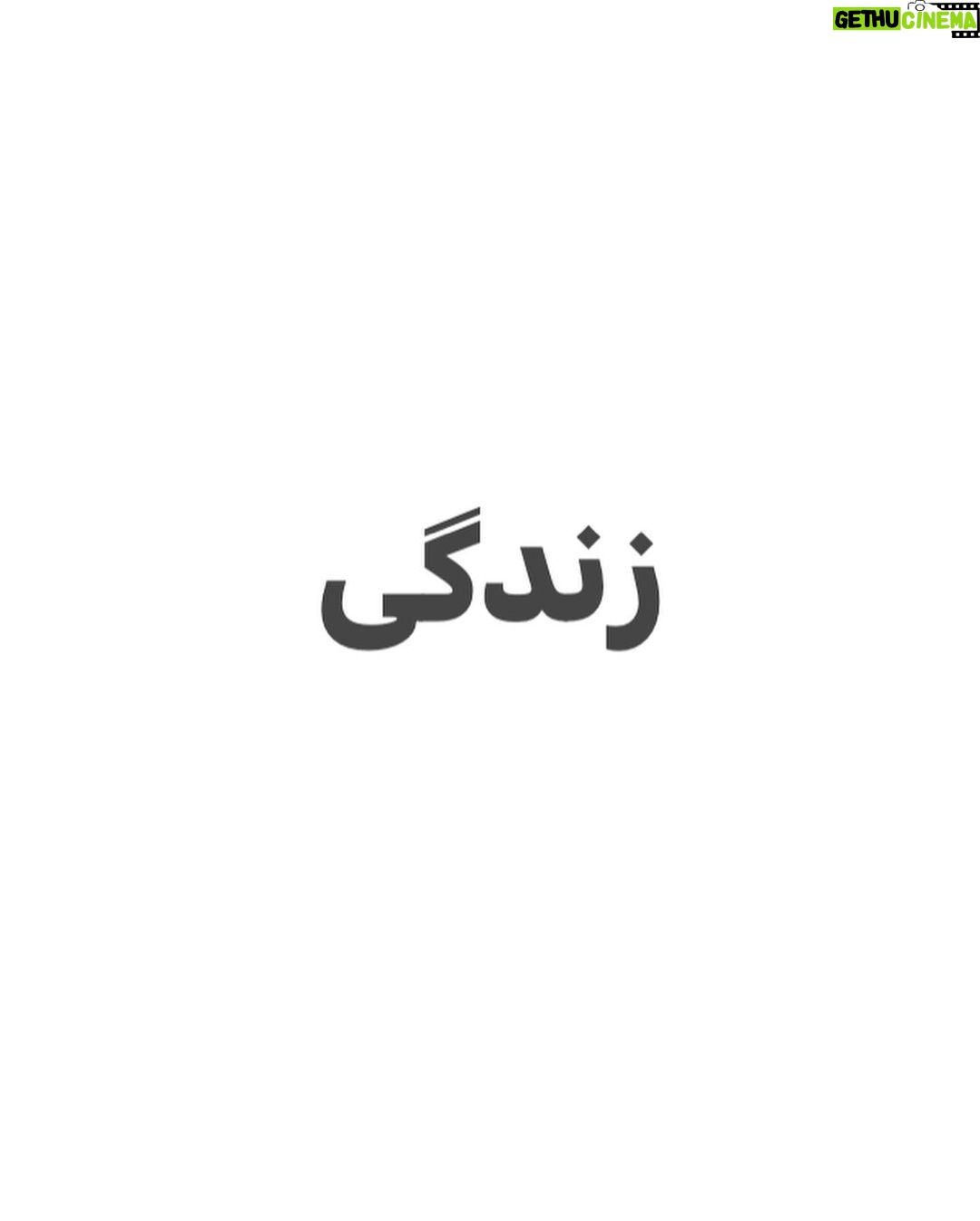 Hanie Tavassoli Instagram - هشت مارس.روز زنان.همه چیز در همین سه کلمه خلاصه شده. شجاعت زنان ایرانی جهان را به حیرت واداشت.روزتان مبارک زنان شجاع ایران و جهان. #زن_زندگی_آزادی #زن_زندگی_آزادی #زن_زندگی_آزادی #8march #internationalwomensday