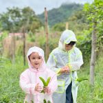 Hanis Zalikha Instagram -