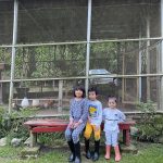 Hanis Zalikha Instagram – Ketenangan dalam keseronokan 🍃 Kembali ke alam semulajadi.