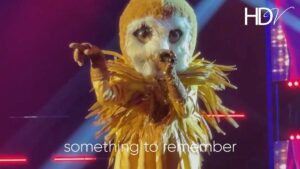 Hannah Delisha Instagram - You guessed it.🙈
Now watch my journey as Burung Hantu in #themaskedsingermalaysia S2 🤍

🦉🦉

Only on my Youtube Channel.
#HDV