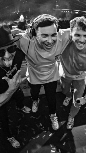 Hardwell Instagram - Brought this one to the mainstage of Tomorrowland last year with my brothers @timmytrumpet & @maddixmusic and now it’s finally here to the world: REVOLUTION