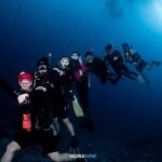 Harit Cheewagaroon Instagram - โลซินที่รัก หลามวาฬอยู่ไหนนะโลซิน🦈 เกาะโลซิน