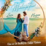 Haroon Kadwani Instagram - The countdown is on! Join us on Sunday, 30th April for the release of JHOOM’s soulful OST titled Mulaqatein 💫 @abdullah.kadwani @asadaqureshi @harpalgeotv @7thskyentertainment @hashimnadeem.official @ali.faizan.338 @zaranoorabbas.official @schumaila.rehmat.hussain #Jhoom #GeoEntertainment #7thSkyEntertainment #AbdullahKadwani #AsadQureshi #HashimNadeemKhan #AliFaizan #HaroonKadwani #ZaraNoorAbbas #SchumailaRehmatHussain