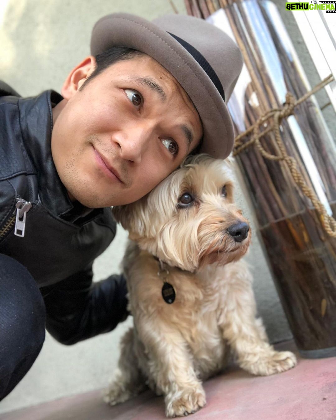 Harry Shum Jr. Instagram - ☁️ Miss you Chuckie ☁️