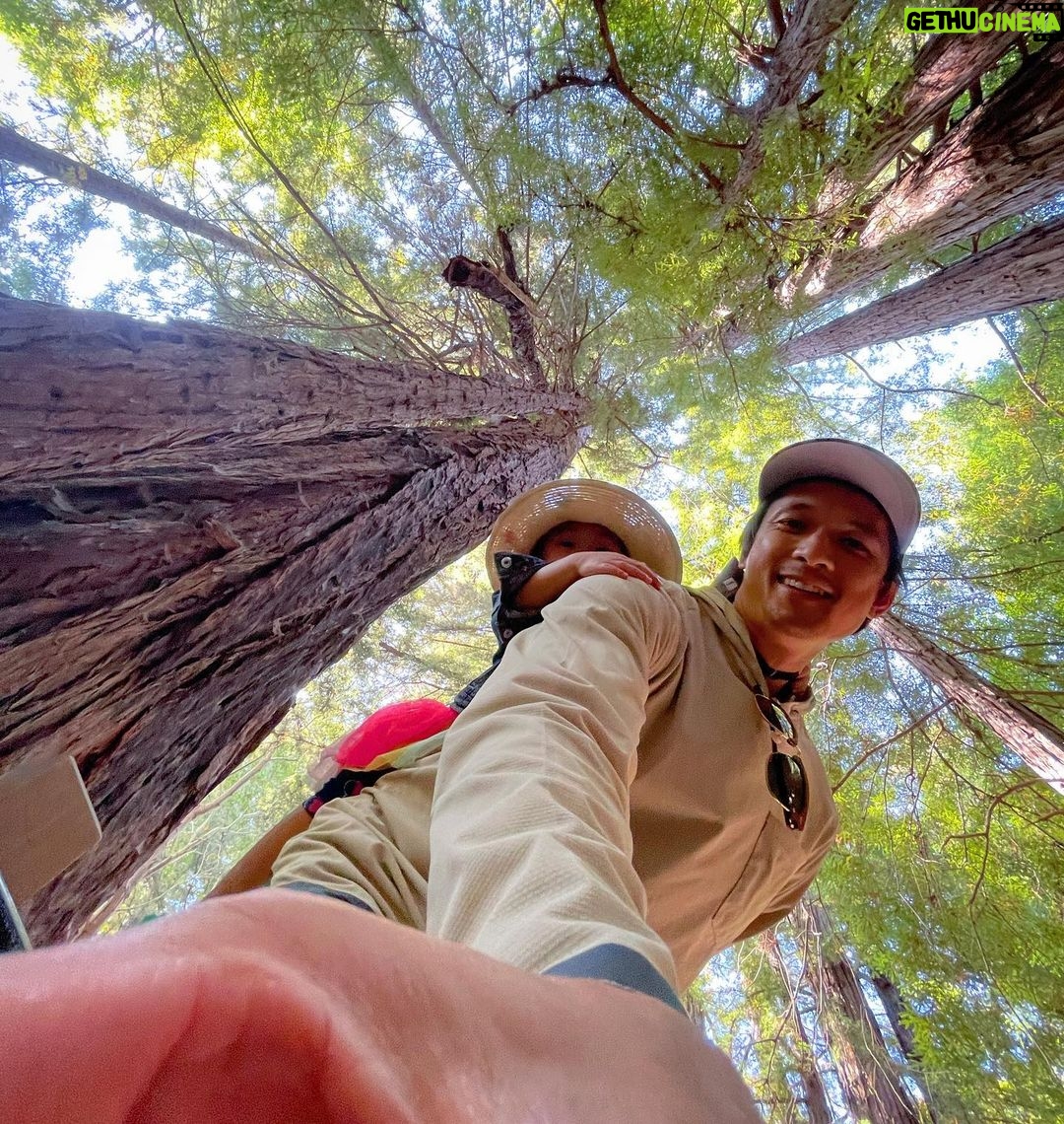 Harry Shum Jr. - 154.1K Likes - ⬆️ 🌳 👒 🌳 ⬆️