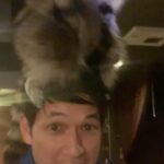 Harry Shum Jr. Instagram - Hi Xia. Raccacoonie is savage. @everythingeverywheremovie @dunkwun @a24 @hamer_fx