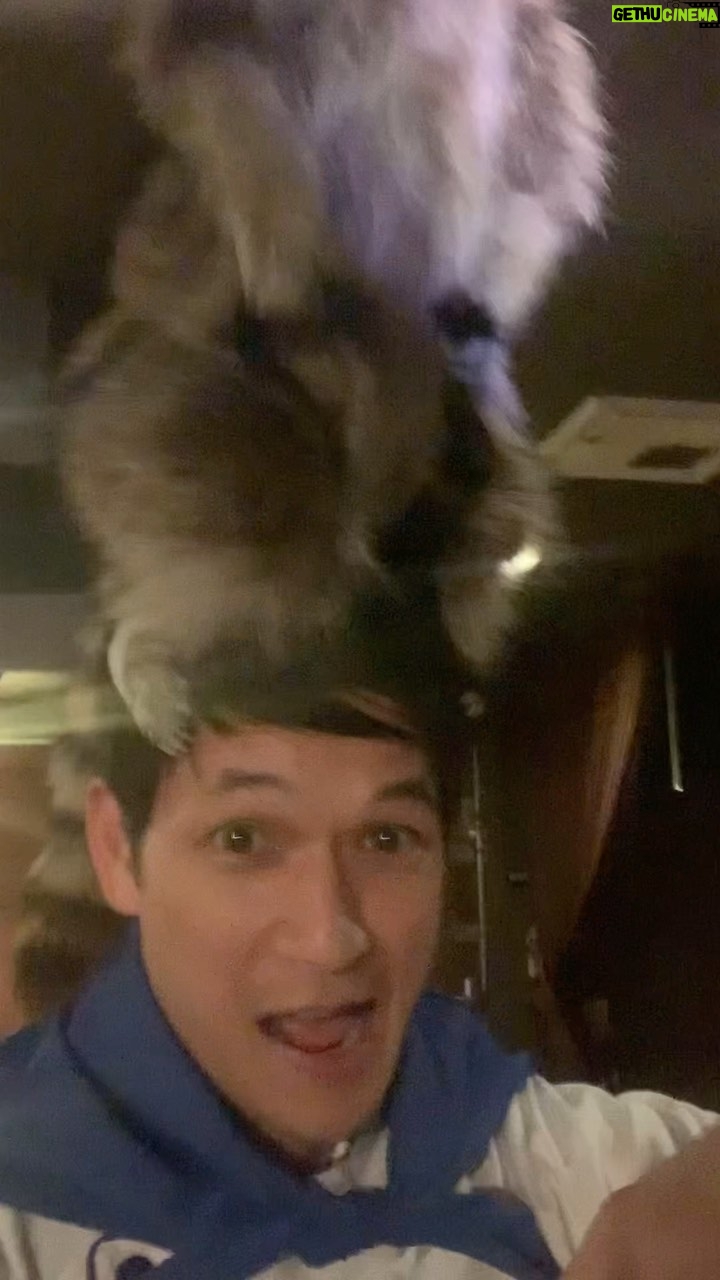 Harry Shum Jr. Instagram - Hi Xia. Raccacoonie is savage. @everythingeverywheremovie @dunkwun @a24 @hamer_fx