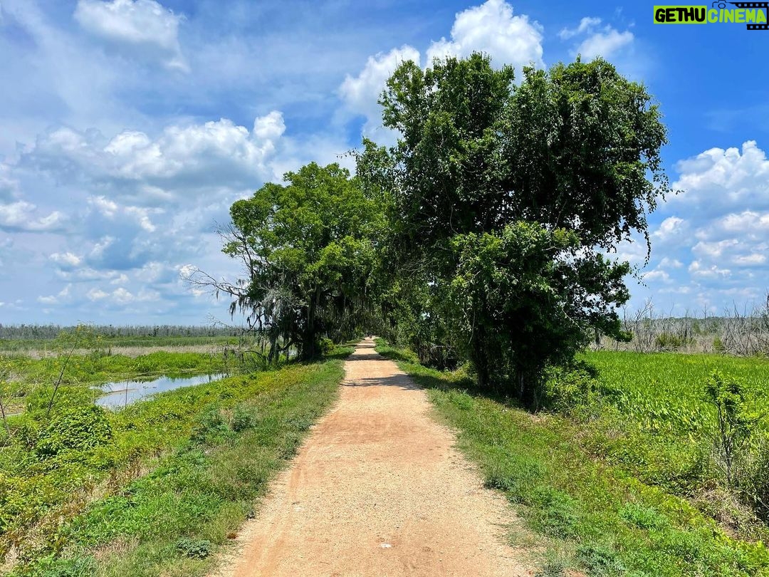 Harry Shum Jr. Instagram - Cloud storage for free. Drips of nature for the soul y’all. Brazos Bend State Park