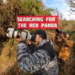 Harshvardhan Rane Instagram – Hell of a search,
to find heaven!

#Eastern #Nepal #ilam 
#RedPanda
 #redpandanetwork