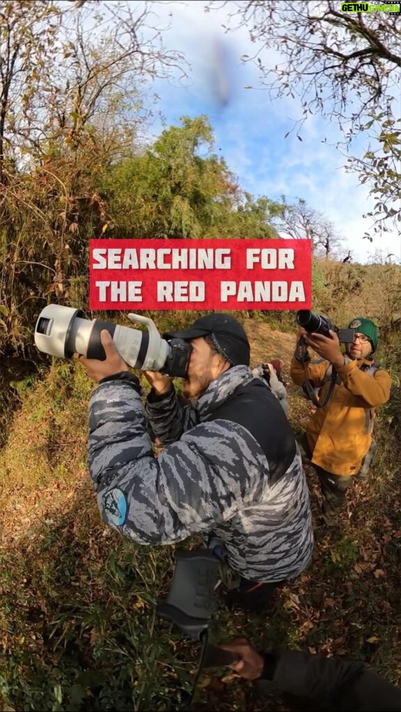 Harshvardhan Rane Instagram - Hell of a search, to find heaven! #Eastern #Nepal #ilam #RedPanda #redpandanetwork