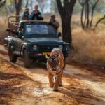 Harshvardhan Rane Instagram - #Animal Park! #Ranthambore day 3 🐅 #Ranbir #Arrowhead #Riddhi #T120 and 3 cubs.