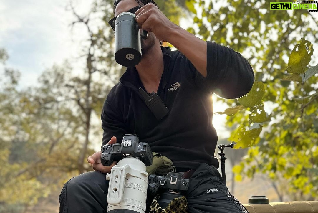 Harshvardhan Rane Instagram - #Animal Park! #Ranthambore day 3 🐅 #Ranbir #Arrowhead #Riddhi #T120 and 3 cubs.