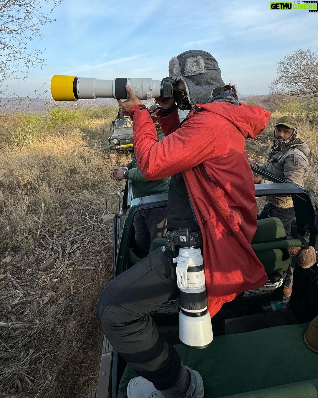 Harshvardhan Rane Instagram - Ending 2023 with #Ranthambore 🐅