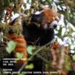 Harshvardhan Rane Instagram – It was tough,
but all good things are… :)

#RedPanda 
#redpandanetwork #Nepal #ilam #Sherpa are king