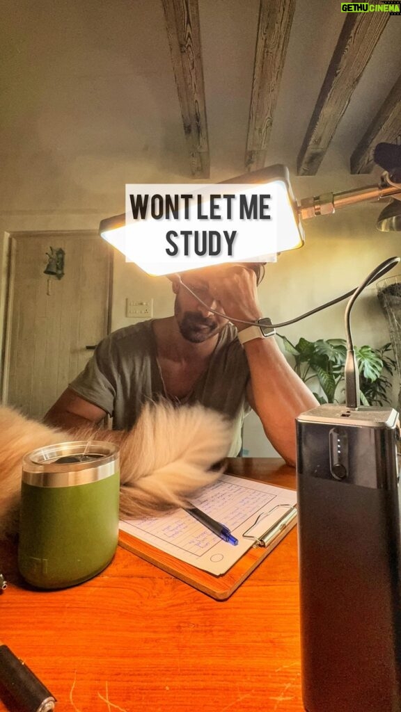 Harshvardhan Rane Instagram - June mein exams hain beta 🤦🏻‍♂️