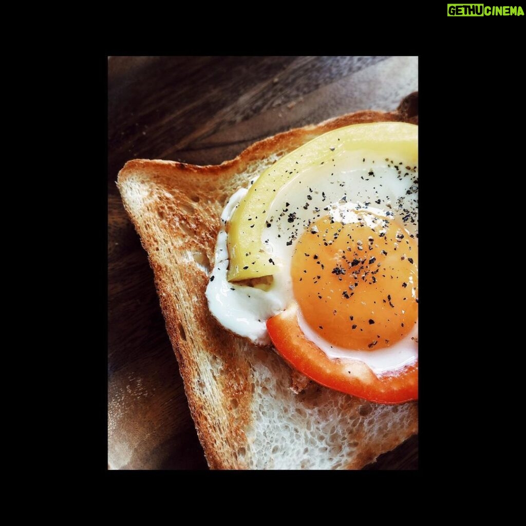 Haruma Miura Instagram - いつかの朝食🍳🍞 フライパンに輪切りにしたパプリカ置いて、その中心に卵落としただけ、あ、皆さん知ってましたか？　白身の部分に塩を振ると早く火が通るから キミの部分は半熟のまま、焼き上がりやすい！って　キミはとろーりと食べられるし、面白いからやってみて！ #これ #パプリカ #輪切り #じゃないじゃん　ってね 笑 黄色と、赤のパプリカ #おうち時間 #おうちごはん
