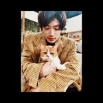 Haruma Miura Instagram - 前々から共演したかった、猫の #春馬 くん！ 今夜、待望の共演✨🐈 最高の時間でした。また会いたい。 今日のNHK 【世界はほしいモノにあふれてる】は冬のほっこりスペシャル！　様々なほっこりをたっぷりお届けする1時間。 今夜22:30~です！是非ご覧ください🐎 #せかほし #ふてにゃん #ダブル春馬