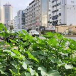 Hassan El Fad Instagram -