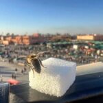 Hassan El Fad Instagram - الحلاوة فين كاينة Jamaâ El-Fna